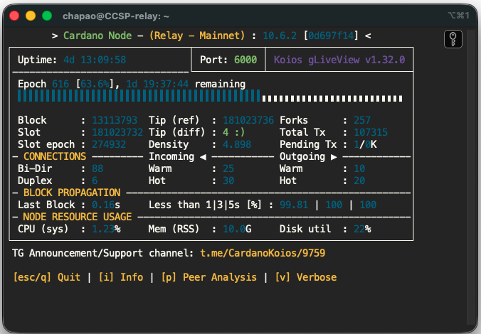 CCSPプールのgLiveView稼働画面